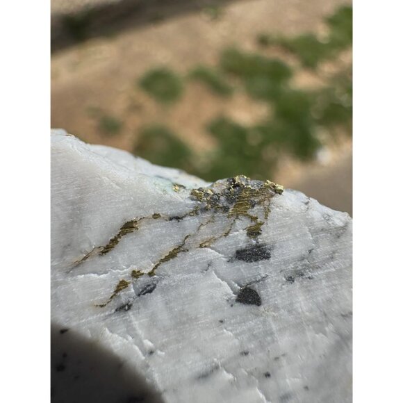 Gold in Quartz - 16 to 1 Mine - Alleghany, California Specimen - 23 grams - Picture 4 of 7